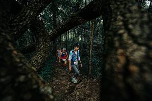 BIB: 
                            <button type="button" onclick="openModal(25676544)" class="btn btn-primary btn-sm float-right btn-popup" data-toggle="modal" data-target=".modal-high-quality">
                        <i class="fas fa-shopping-cart"></i> Add to Cart
                    </button>
                                            <button type="button" onclick="isThisMe(25676544, true)" class="btn btn-success btn-sm float-right btn-popup btn-isme hidden" data-toggle="tooltip" data-placement="bottom" title="นี่คือรูปของคุณใช่ไหม คลิกที่นี่เพื่อเอาเข้าอัลบั้ม">
                        <i class="fas fa-plus"></i> Add to album
                    </button>
                    <button type="button" onclick="isThisMe(25676544, false)" class="btn btn-warning btn-sm float-right btn-popup btn-isnotme hidden">
                        <i class="fas fa-ban"></i> Remove from album
                    </button>